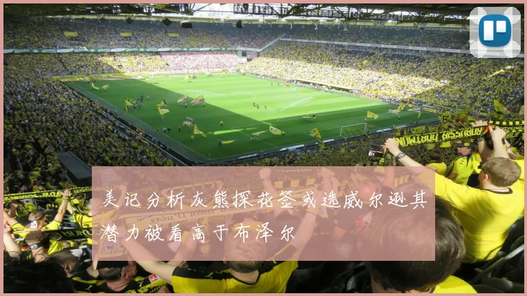 美记分析灰熊探花签或选威尔逊其潜力被看高于布泽尔