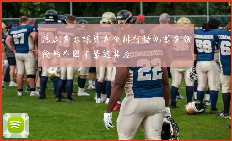 厄瓜多尔球员身价排行榜凯塞多领衔帕乔因卡紧随其后